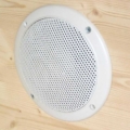 sauna speaker